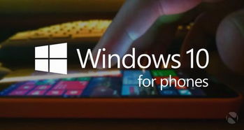 Win10手機(jī)版最后一輪內(nèi)測(cè)即將啟動(dòng)，IT浪潮中的移動(dòng)開(kāi)發(fā)新篇章